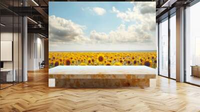 3d render with large circle window and round podium for product presentation on nature background. s Wall mural