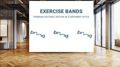 exercise bands icon in 5 different style. Outline, filled, two color, thin exercise bands icon isolated on white background. Editable vector can be used web and mobile Wall mural