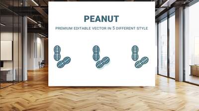 peanut icon in 5 different style. Outline, filled, two color, thin peanut icon isolated on white background. Editable vector can be used web and mobile Wall mural