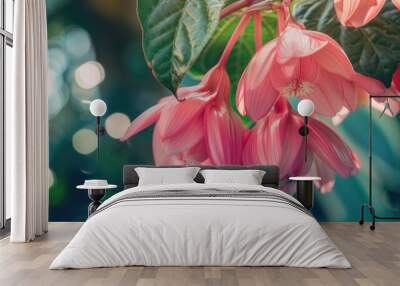 Close up of luxurious pink tropical flower Medinilla majesty with beautiful backdrop Wall mural