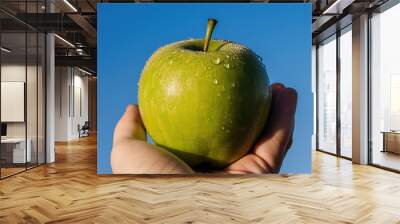 Picture of fresh green apple in hand under the sky. Generative ai. Wall mural