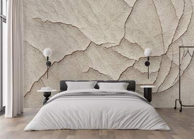 old cracked leather background texture Wall mural