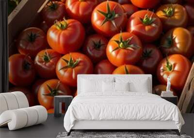 organic fresh tomatoes picked from the field in a wooden crate Wall mural