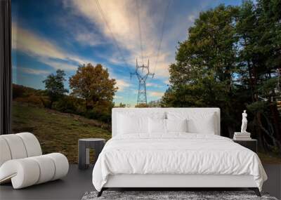 Power line at Dehesa Boyal of Somosierra in fall time.. Madrid. Spain. Europe. Wall mural