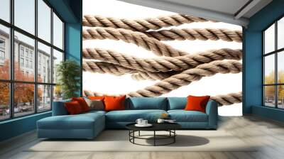 twisted Jute Rope on a transparent background Wall mural