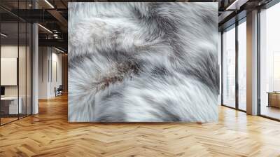 A close-up of rabbit fur with soft white, gray, and light brown tones Wall mural