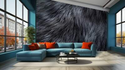 Close-up of wolf fur with shades of dark gray, black, and silver tones Wall mural