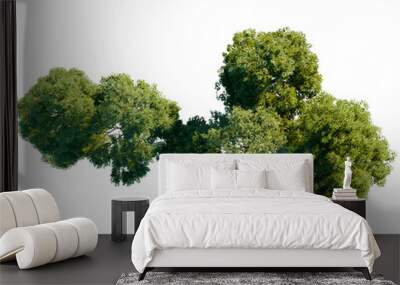 green tree top view on white png landscape plan urban Wall mural