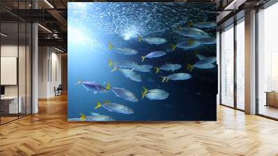 Mackerels Wall mural