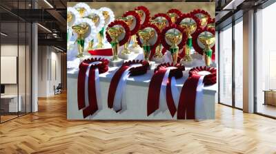 Golden trophy cups and ribbons for riders Wall mural