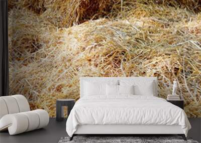 Summer background of hay from stack. Haystack closeup as a backg Wall mural