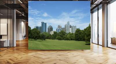 Skyline of Midtown Atlanta, Georgia from Piedmont Park Wall mural