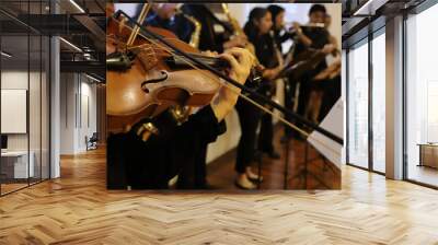 Musician playing at a classical music concert. Group of musicians. Music band. Close-up of person's hands playing the violin. Wind and string musical instruments. Wall mural