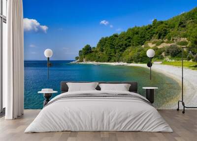 Aerial view of the beautiful calm shore of Skopelos island, Greece Wall mural