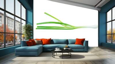 Green onion Wall mural