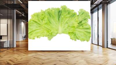 Salad leaf. Lettuce isolated on white background with clipping path. Wall mural