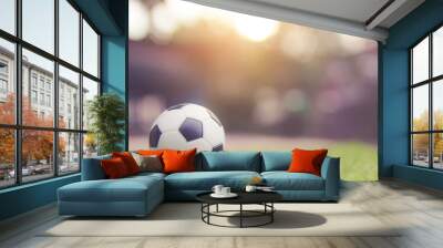 Soccer ball on grass green field with copy space Wall mural