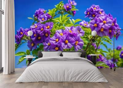 A lush, vibrant purple flowers and green leaves adorn the branches of a Solanum tuberosum, a decorative potato tree, against a bright blue sky background. Wall mural