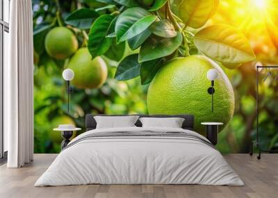 Juicy fresh pomelo fruit hangs from a lush healthy tree, surrounded by vibrant green leaves, symbolizing nature's beauty and abundance in a serene atmosphere. Wall mural