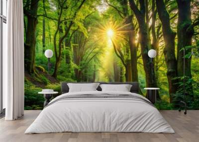 Lush, Verdant Forest Path Lined By Towering Trees With Sunlight Filtering Through The Canopy, Creating A Serene And Idyllic Atmosphere Wall mural