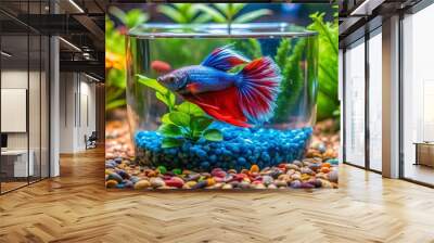 Vibrant blue and red betta fish swims amidst lush green aquarium plants and colorful gravel in a beautifully Wall mural