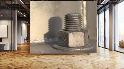 Big Screw and nut on metal background. Nut and bolt hold something tight. Wall mural