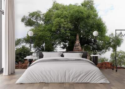 Small stupa under the tree beside the main pagoda in the ruins of ancient remains at Wat Worachet temple, it built in 1593 AD in the Ayutthaya period. Wall mural