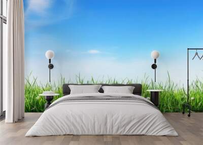 Green grass on blue clear sky, spring nature theme. Panorama Wall mural