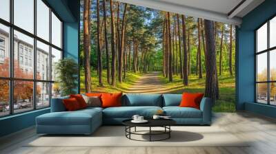 pine forest panorama in summer. Pathway in the park Wall mural