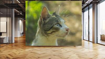 Cat Portrait Wall mural