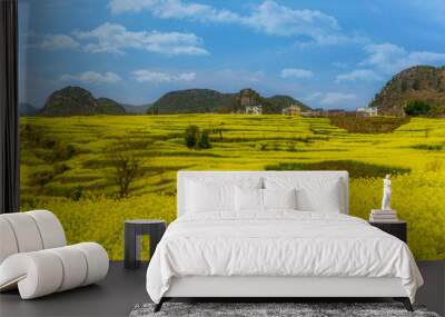 The Yellow Flowers of Rapeseed fields and houses on the hill with blue sky at Luoping, small county in eastern Yunnan, China Wall mural