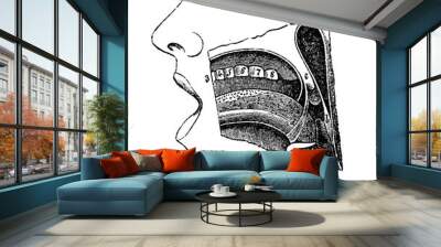 Anatomy, oral cavity vintage engraving Wall mural