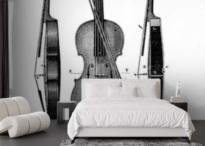 violin structure, vintage engraving Wall mural