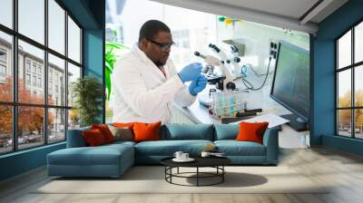 African-american scientist working in lab. Doctor making microbiology research. Laboratory tools: microscope, test tubes, equipment. Biotechnology, chemistry, bacteriology, virology and health care. Wall mural