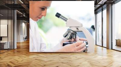 medical doctor working in research lab. science assistant making experiments. laboratory tools: micr Wall mural