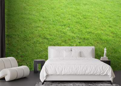 grass background #2 Wall mural