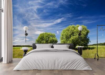 two green trees and grassland against blue sky with clouds. Wall mural