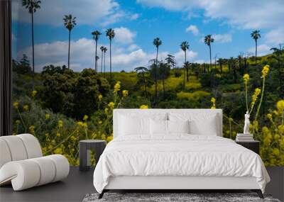 Wildflowers blooming in the vibrant city park, Elysian Park, in Downtown Los Angeles. Bright flowers, green grass, tall palm trees, and blue skies on the spring California day.  Wall mural