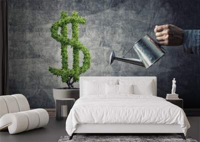 Concept of investment income and growth with money tree in pot Wall mural