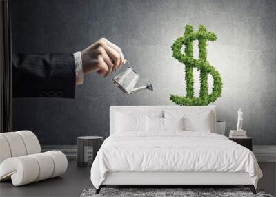 concept of investment income and growth with money tree in pot Wall mural