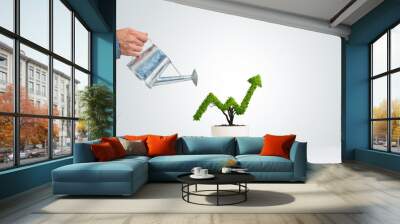 Concept of investment income and growth with tree in pot Wall mural