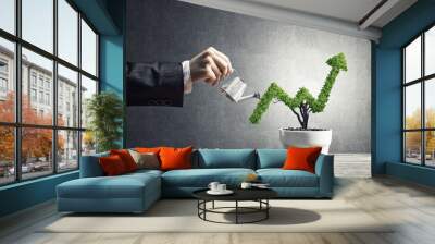 Concept of investment income and growth with tree in pot Wall mural