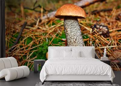 mushroom twins leccinum versipelle Wall mural