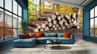 Freshly cut tree logs piled up Wall mural