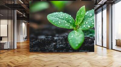 Lush Green Leaves with Raindrops in Nature s Rejuvenating Embrace Wall mural