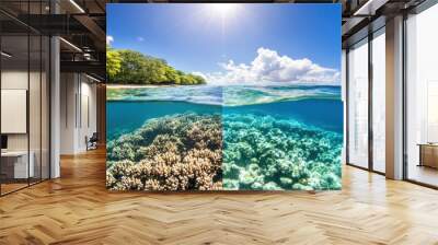 Underwater Coral Reef and Tropical Island Landscape Wall mural