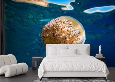 Jellyfish swimming in blue sea Wall mural