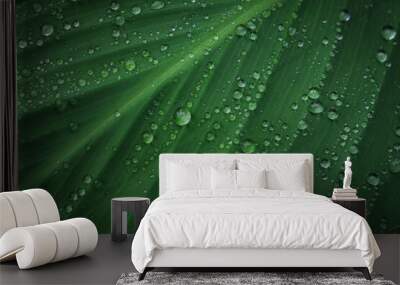 nature green leaves with raindrops backgrounds Wall mural