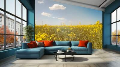 Wind turbine in rape field Wall mural