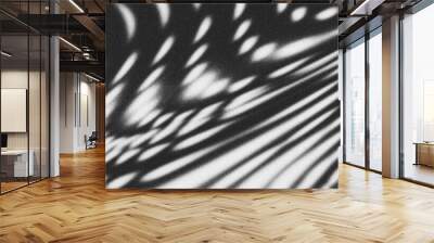 Black and white abstract background with glitches grain texture effect motion blur Wall mural